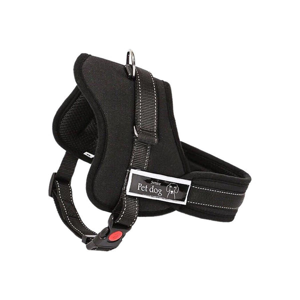 Dog Adjustable Harness Support Pet Training Control Safety Hand Strap Size M Deals499
