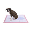 PaWz Pet Training Pads Puppy Dog Pads Absorbent Cushion Lavender Scent 50Pcs Deals499