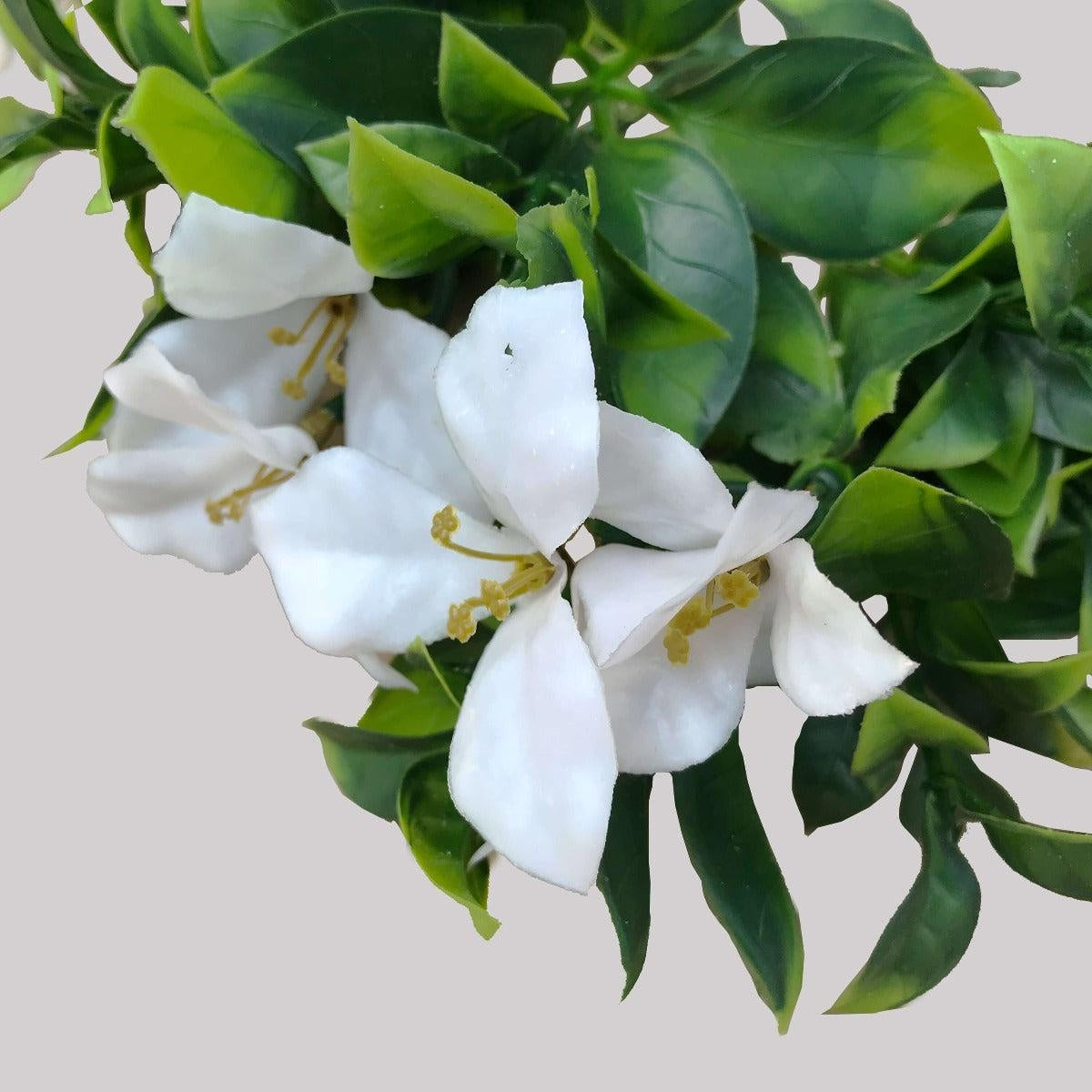 White Flowering Jasmine Stem UV Resistant 30cm Deals499