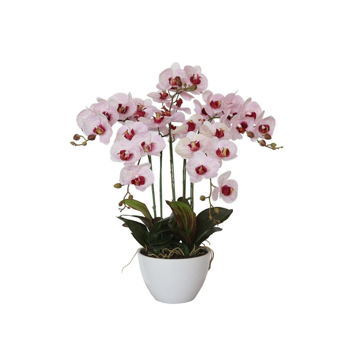 66cm Multi Butterfly Orchid - Pink Deals499