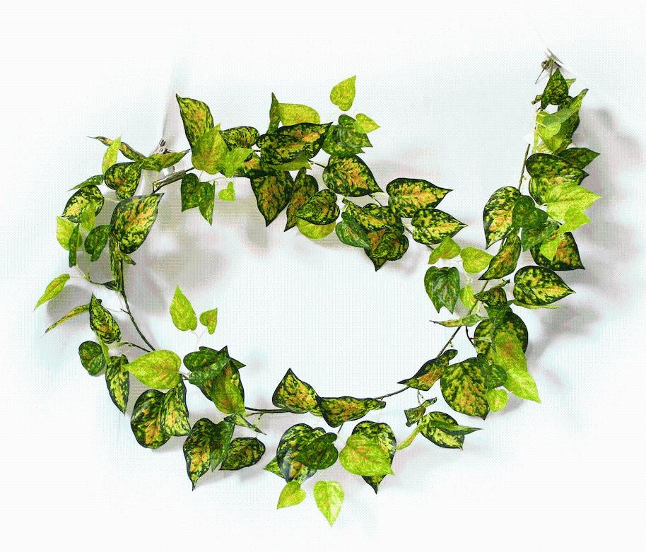 Mixed Yellow and Red Pothos Garland 190cm Deals499