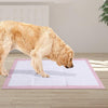 PaWz Pet Training Pads Puppy Dog Pads Absorbent Cushion Lavender Scent 100Pcs Deals499
