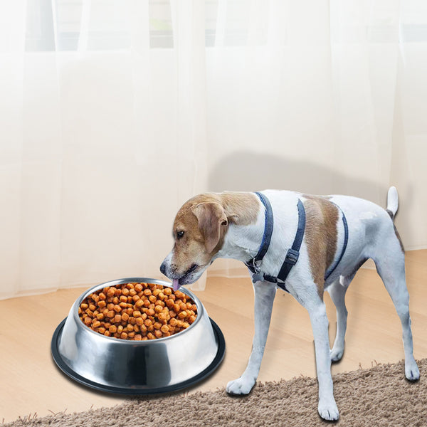 PaWz Pet Bowl Stainless Steel Non Tip Slip Dog Cat Puppy Water Food Feeder Dish Deals499