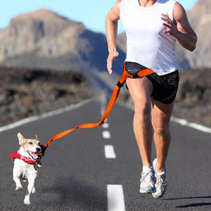 Adjustable Dog Hands Free Leash Waist Belt Buddy Jogging Walking Running Orange Deals499