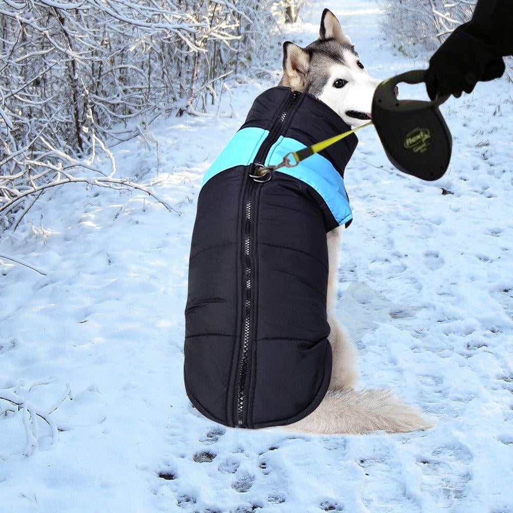 PaWz Dog Winter Jacket Padded Waterproof Pet Clothes Windbreaker Coat XL Blue Deals499