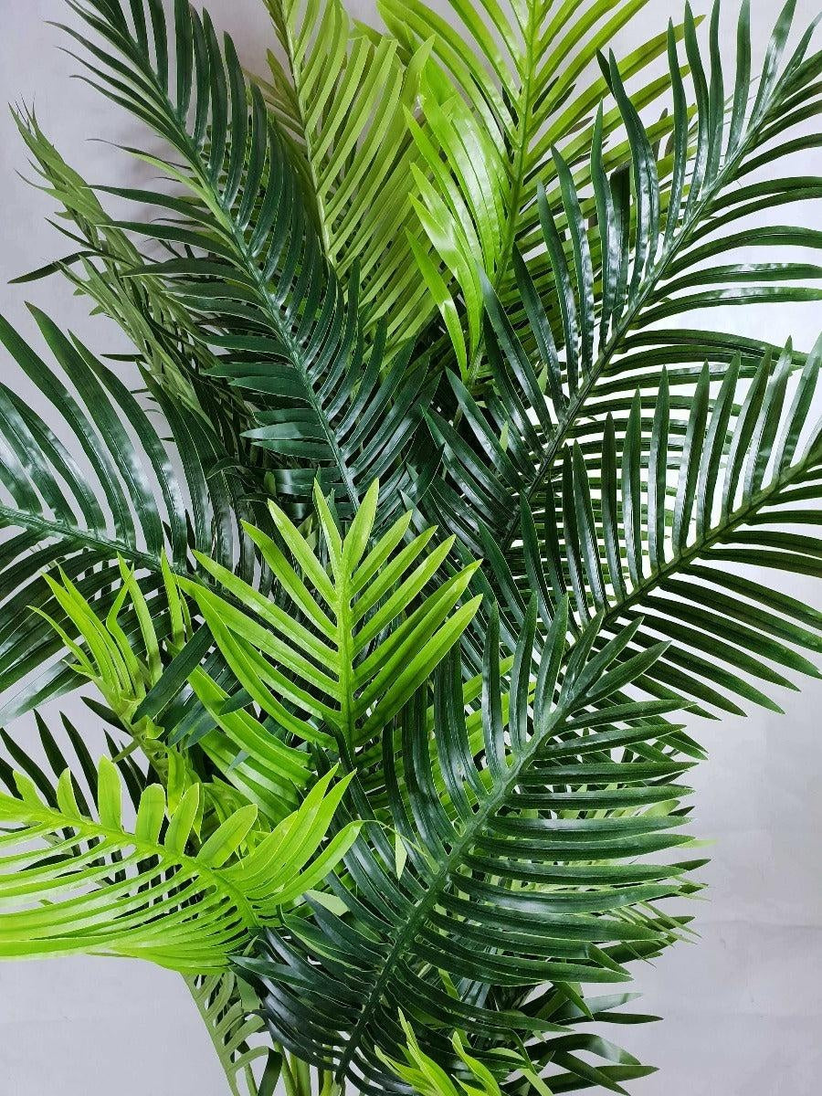 Multi Trunk Hawaii Palm 180cm Deals499