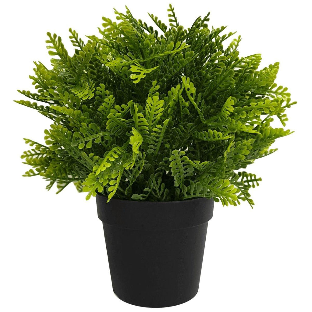 Small Potted Artificial Mimosa Fern UV Resistant 20cm Deals499