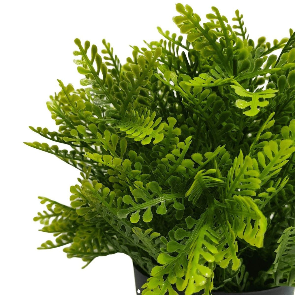 Small Potted Artificial Mimosa Fern UV Resistant 20cm Deals499