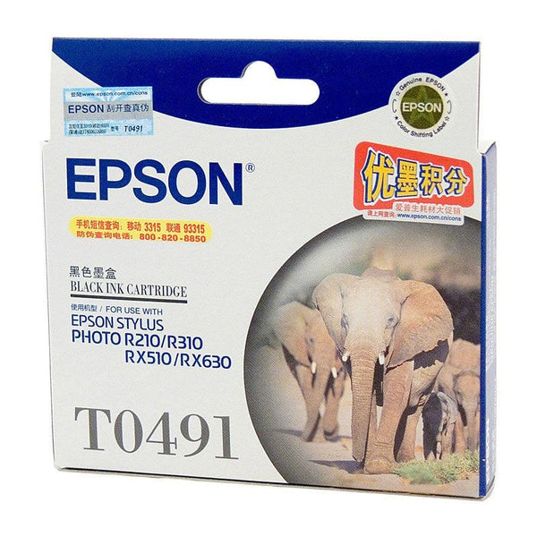 EPSON T0491 Black Ink Cartridge EPSON