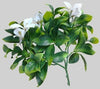 White Flowering Jasmine Stem UV Resistant 30cm Deals499